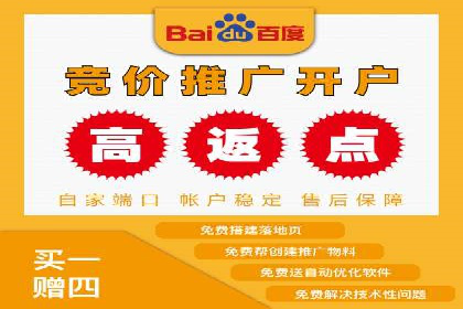 竞价端口开户全攻略，案例分析